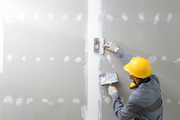 Reliable Merrick, NY Mold Removal Solutions