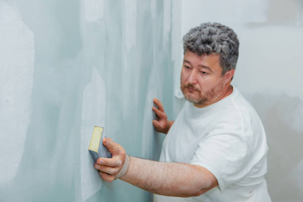 Best Industrial Mold Remediation  in Merrick, NY
