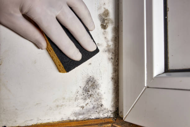 Best Indoor Air Quality Assessment  in Merrick, NY