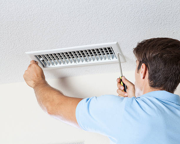 Best Mold Documentation for Insurance Claims  in Merrick, NY