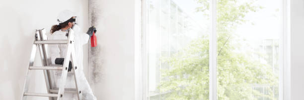 Best Water Damage & Mold Remediation  in Merrick, NY